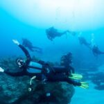 Beginner Scuba Dive with Scubapoint Tenerife in Turtle Area - Why This Experience Offers Good Value