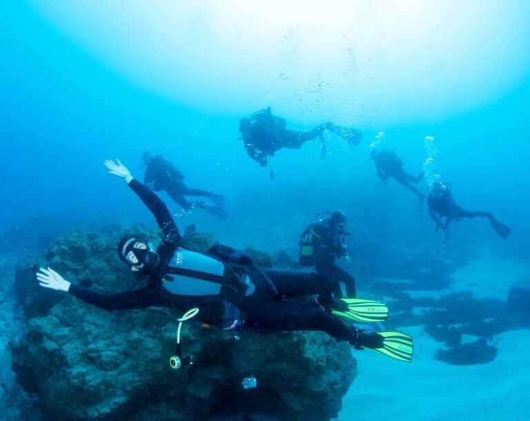 Beginner Scuba Dive with Scubapoint Tenerife in Turtle Area - Why This Experience Offers Good Value