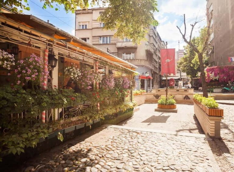 Belgrade: Private City Highlights Guided Walking Tour - The Sum Up: Is This Tour Right for You?