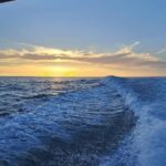 Benagil Private Boat tour Sunset - Who Would Love This Tour?
