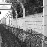 Berlin: Sachsenhausen Memorial Day Small-Group Tour - The Return Trip and Overall Value