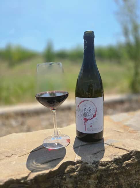 Bertinoro: Authentic Romagna Wine Tasting Experience - What to Expect During the Visit