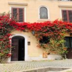 Best of Rome City Center Walking tour & Hop on Hop Off Bus - The Itinerary Breakdown