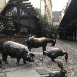 Best of Wroclaw 3-Hour History and Culture Walking Tour - The Itinerary: A Well-Curated Walk Through History