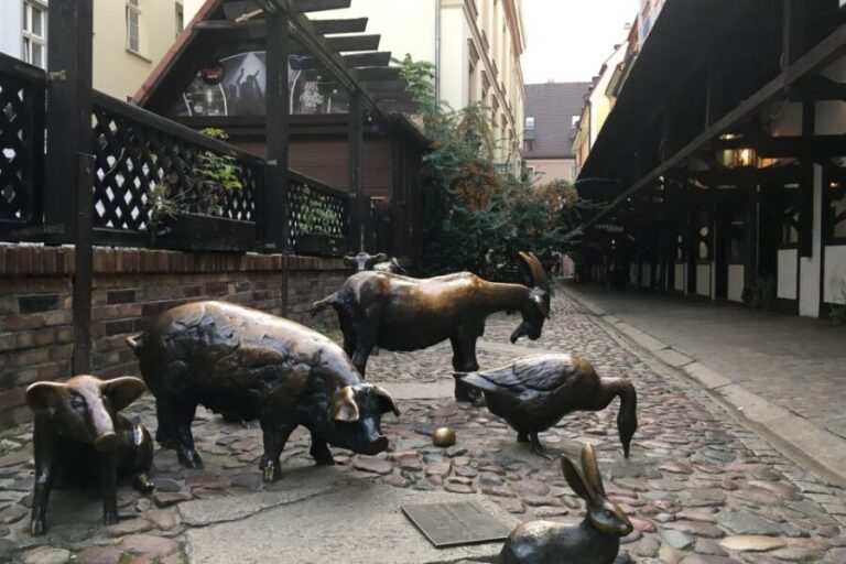 Best of Wroclaw 3-Hour History and Culture Walking Tour - The Itinerary: A Well-Curated Walk Through History