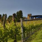 Bilbao Txakoli Wine Tour - Final Thoughts