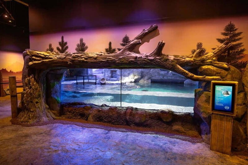 Birmingham: National Sea Life Centre Entrance Ticket - Pricing and Value