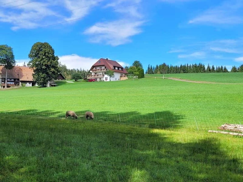 Black Forest: Ravenna Gorge Hike, Self-Guided - Authentic Experiences from Other Travelers