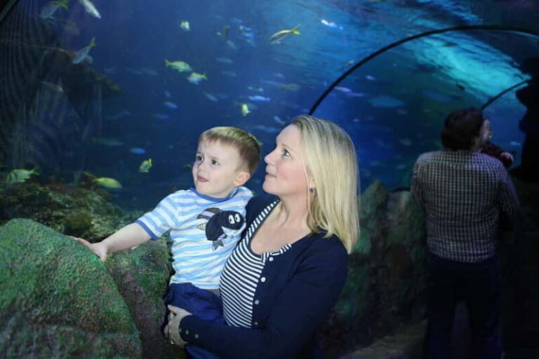 Blankenberge: SEA LIFE Entry Ticket - Who Is This Experience Best For?