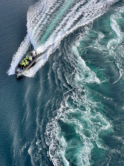 Bodø: Saltstraumen RIB Safari - Who Should Book This Safari?