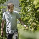 Bolzano: Wine Tasting at SKYWINE Pavilion with Views - The Tasting Pavilion and the Views