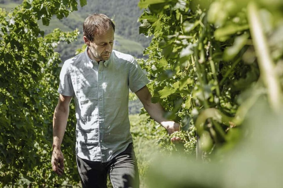 Bolzano: Wine Tasting at SKYWINE Pavilion with Views - The Tasting Pavilion and the Views