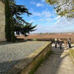 Bordeaux: Saint-Émilion wine tour in a small group - What Makes This Tour Stand Out?