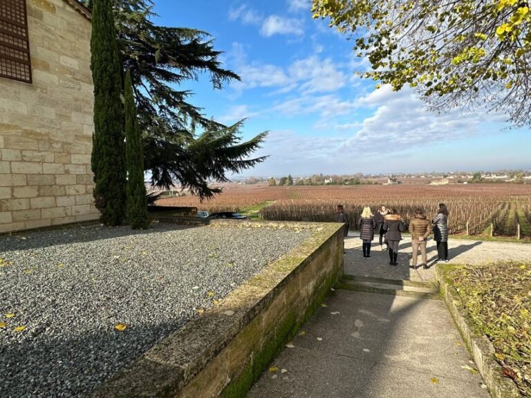 Bordeaux: Saint-Émilion wine tour in a small group - What Makes This Tour Stand Out?