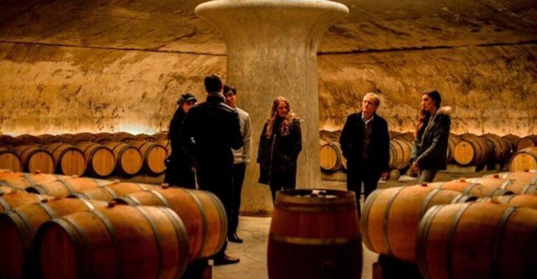 Bordeaux: St-Emilion and Medoc Wine Day Tour with Lunch - What’s Included and What to Expect