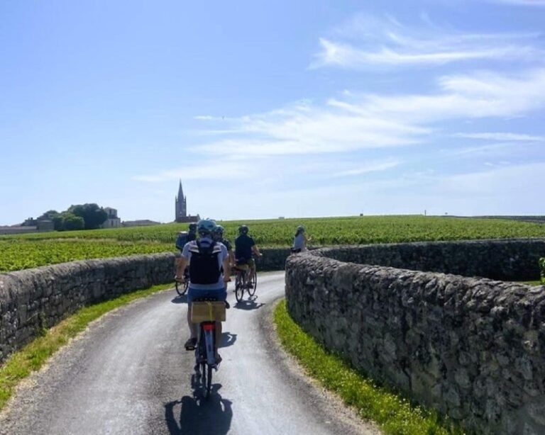 Bordeaux: St-Emilion Vineyards e-Bike Tour with Wine & Lunch - Practical Details & What to Know