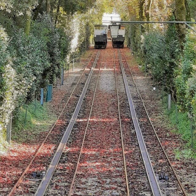 Braga and Guimarães Historical and Cultural Tour from Porto - Final Thoughts