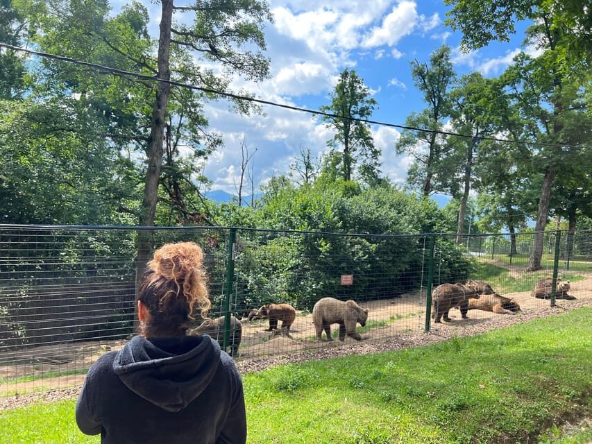 Brasov: Bran Castle, Bear Sanctuary, Rasnov (Peles Optional) - Transportation and Group Dynamics