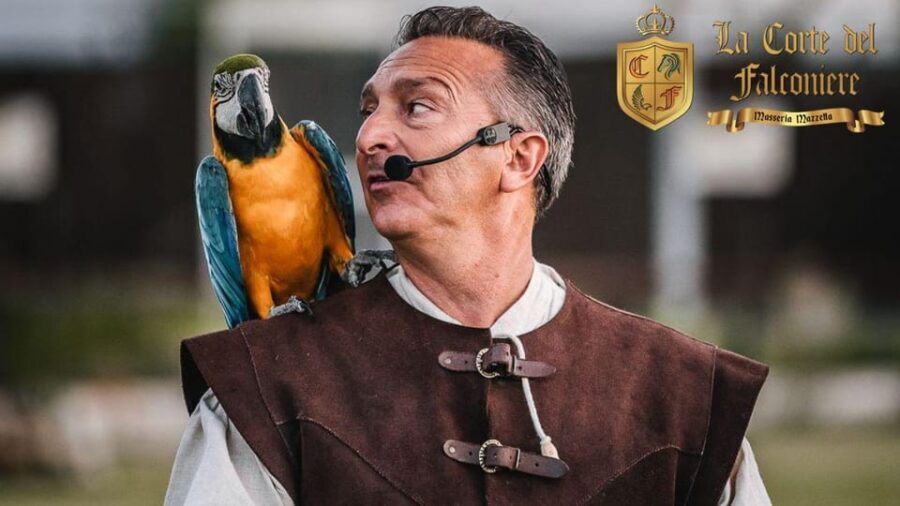 Breakfast with Parrots at Masseria mazzetta with wildlife park - Practical Tips for Visitors