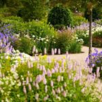 Bridgewater: Royal Horticultural Society Garden Ticket - Authentic Reviews and Insights