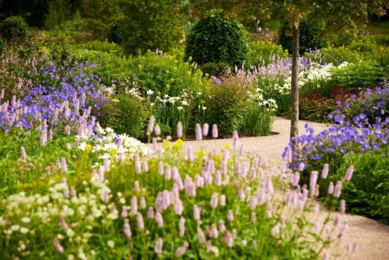 Bridgewater: Royal Horticultural Society Garden Ticket - Authentic Reviews and Insights