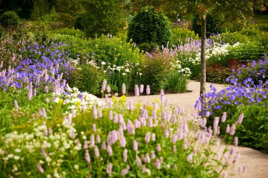 Bridgewater: Royal Horticultural Society Garden Ticket - Authentic Reviews and Insights
