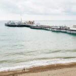 Brighton: Zip Wire Experience Ticket - Authentic Insights from Reviewers