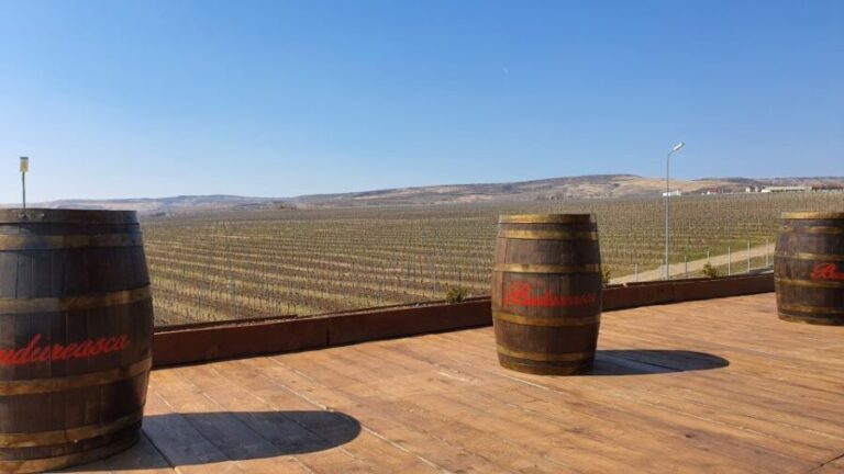 Bucharest: Dealu Mare Winery Private Trip with Wine Tasting - Exploring the Itinerary in Detail