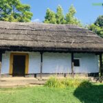 Bucharest: Half-Day Sightseeing Tour - Who Will Love This Tour?