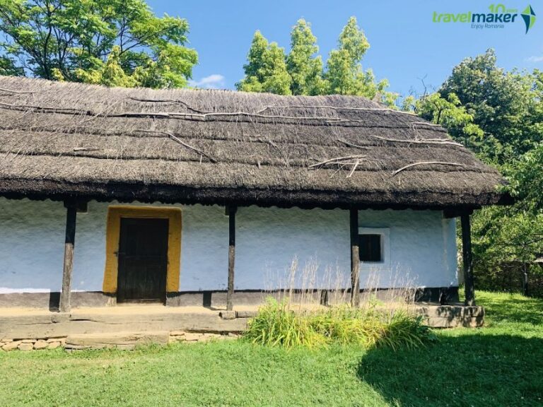 Bucharest: Half-Day Sightseeing Tour - Who Will Love This Tour?