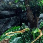 Bucharest: Reptiland Bucharest Entry Ticket - Detailed Tour Breakdown