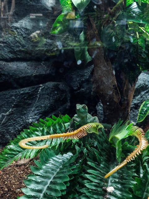 Bucharest: Reptiland Bucharest Entry Ticket - Detailed Tour Breakdown