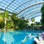 Bucharest: Therme Bucureti Entry Ticket with Transportation - The Experience at Therme București