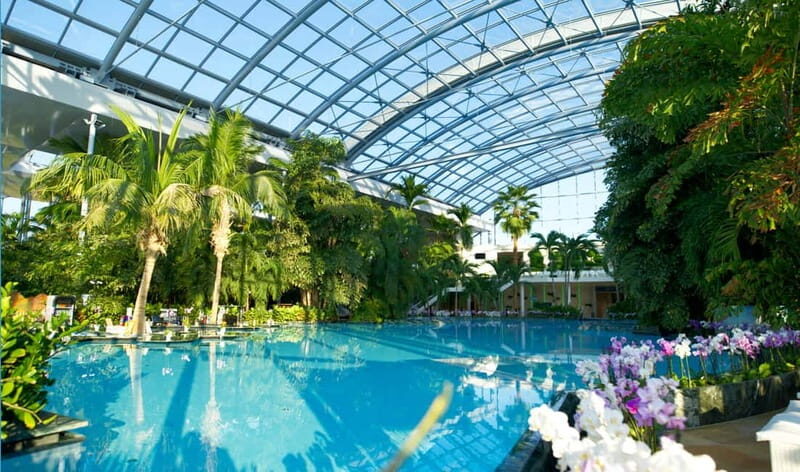 Bucharest: Therme Bucureti Entry Ticket with Transportation - The Experience at Therme București