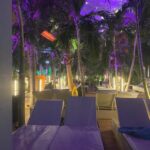 Bucuresti: Bucuresti Therme Transfer and Full-Day Access - What to Expect at Therme Bucuresti