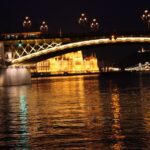 Budapest: New Years Eve Boat Cruise with Unlimited Drinks - The Food and Drinks: What’s Included and What to Expect