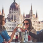 Budapest: Unlimited Prosecco and Wine Sightseeing Cruise - Who Will Love This Cruise?