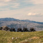 Buggy Safari from Mostar to 1600m with Traditional Food - What Makes This Tour Stand Out?