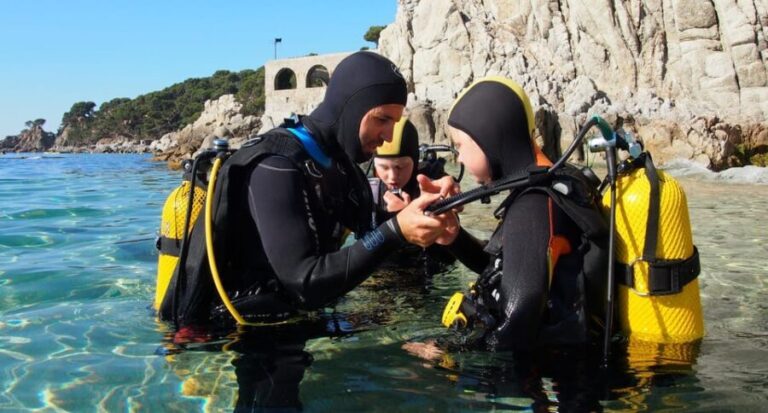 Calella de Palafrugell : Discover Scuba Diving Experience - Who Will Love This Experience?