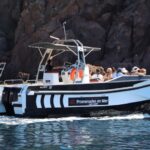 Calvi: Scandola and Girolata 6-Hour Boat Tour - Exploring the UNESCO World Heritage Site: Scandola