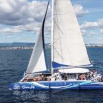 Cambrils: Costa Daurada Sail Catamaran Cruise - What To Expect from the Itinerary