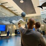 Caniçal : Madeira Whale Museum Entry ticket - The Cost-Value Perspective