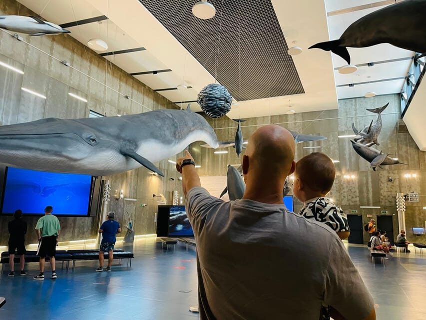 Caniçal : Madeira Whale Museum Entry ticket - The Cost-Value Perspective