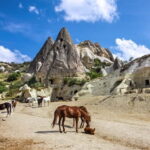 Cappadocia: Göreme Horse Riding, Fairy Chimneys w/Transfer - Final Summary