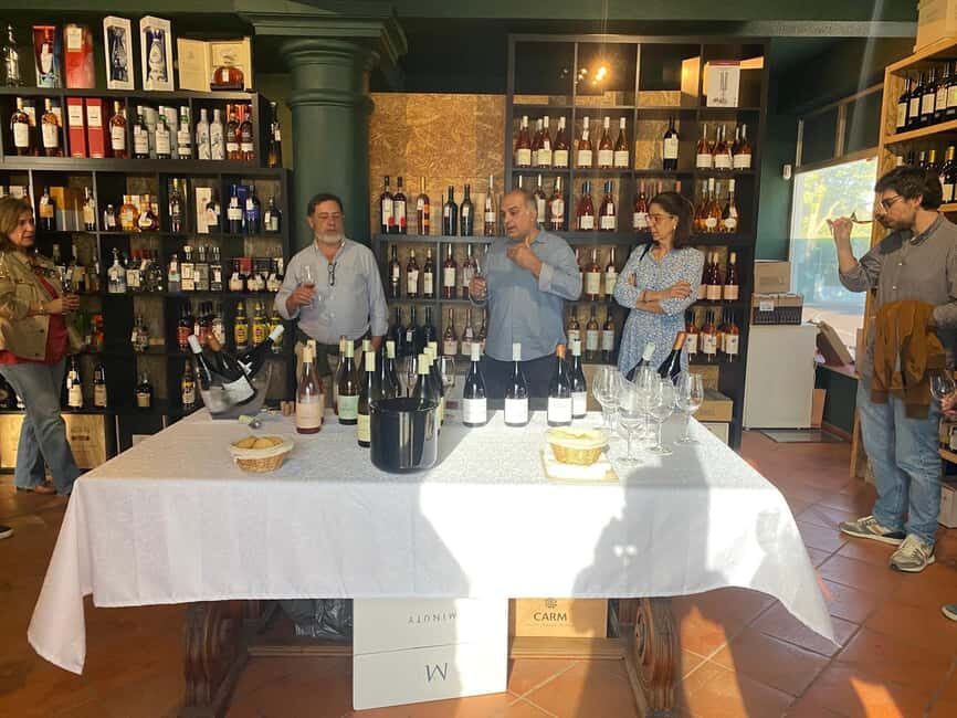 Cascais: Wine Class and Tasting at Garrafeira de Cascais - Why This Tour is a Great Choice