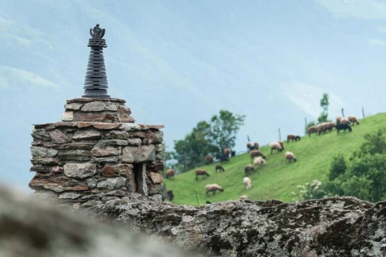 Castel Juval: Messner Mountain Museum Juval Entry Ticket - What the Reviews Say