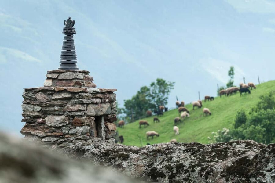 Castel Juval: Messner Mountain Museum Juval Entry Ticket - What the Reviews Say