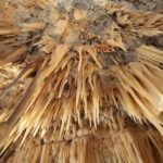 Castellana Grottoes: Official Guided Tour with Entry Ticket - Who Should Consider This Tour?