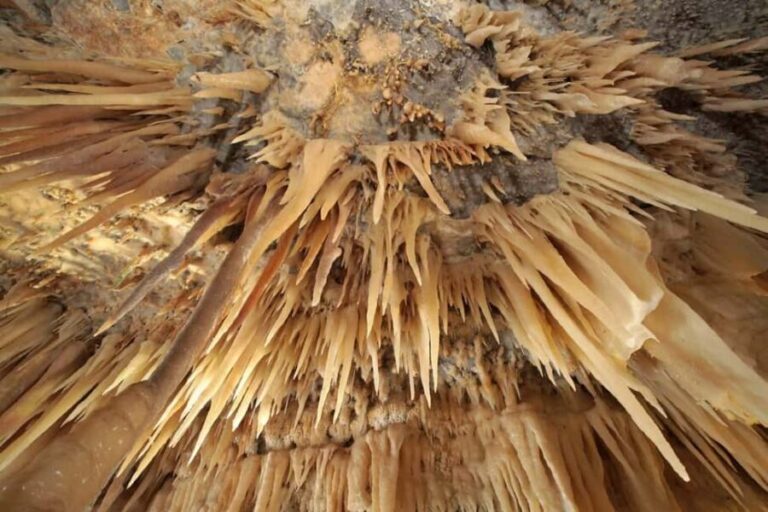 Castellana Grottoes: Official Guided Tour with Entry Ticket - Who Should Consider This Tour?