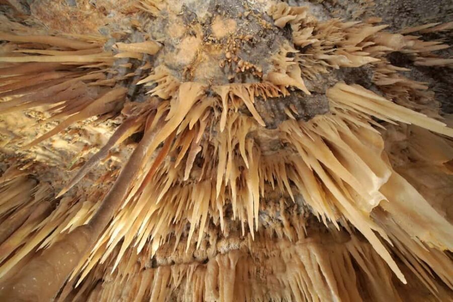 Castellana Grottoes: Official Guided Tour with Entry Ticket - Who Should Consider This Tour?